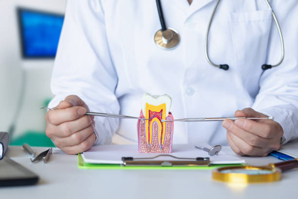 Best Tooth Infection Emergency Dentist  in West Dennis, MA